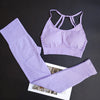 2Pcs Seamless Yoga Set