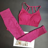 2Pcs Seamless Yoga Set